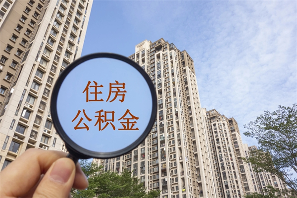 哈尔滨住房公积金怎么提（怎样提取住房公基金）