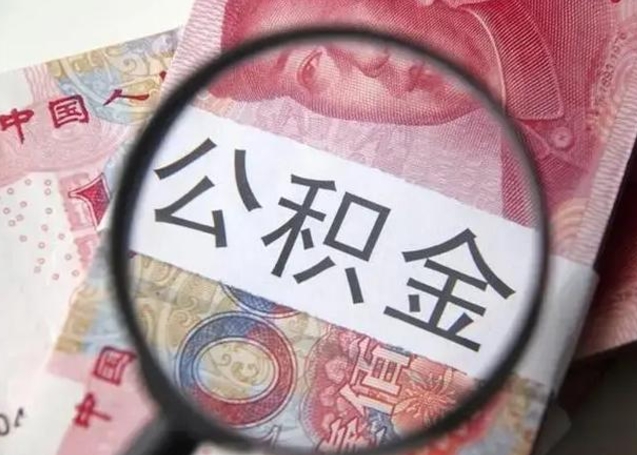 哈尔滨辞职了提出公积金（辞职了住房公积金提取）